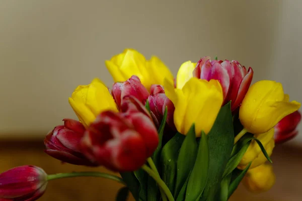 Bouquet de tulipes roses et jaunes — Photo