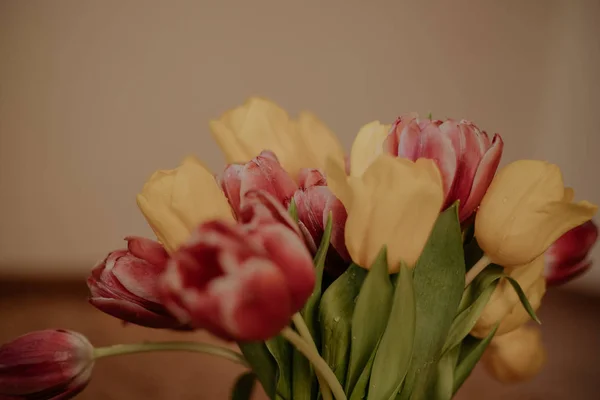 Букет из розовых и желтых тюльпанов — стоковое фото