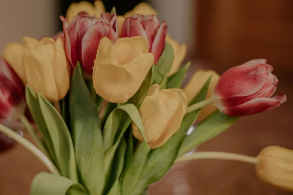 Bouquet de tulipes roses et jaunes — Photo