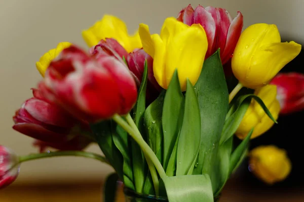 Bouquet de tulipes roses et jaunes — Photo