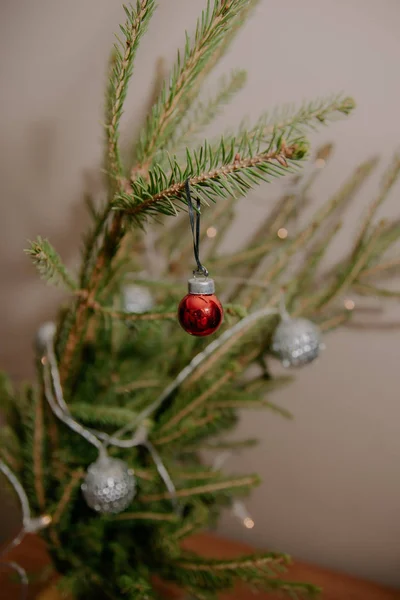 Pequena bola de Natal vermelho pendurado no ramo de abeto — Fotografia de Stock