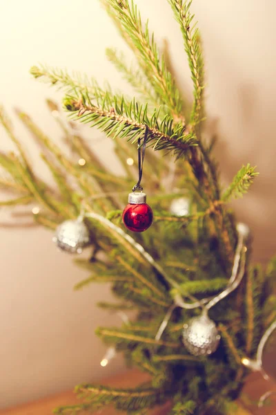 Kleine rode kerst bal opknoping op de FIR tak — Stockfoto