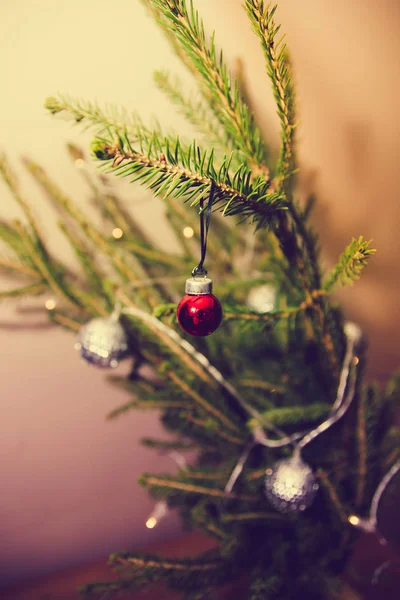 Kleine rode kerst bal opknoping op de FIR tak — Stockfoto