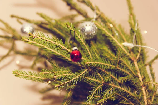 Kleine rode kerst bal opknoping op de FIR tak — Stockfoto