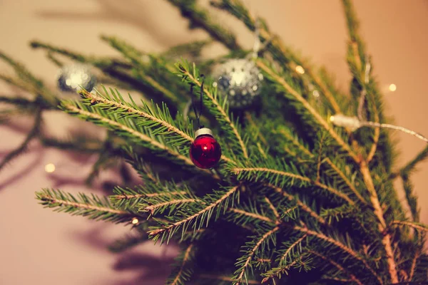 Kleine rode kerst bal opknoping op de FIR tak — Stockfoto