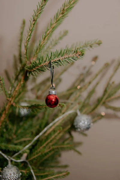 Pequeña bola de Navidad roja colgando de la rama de abeto — Foto de Stock