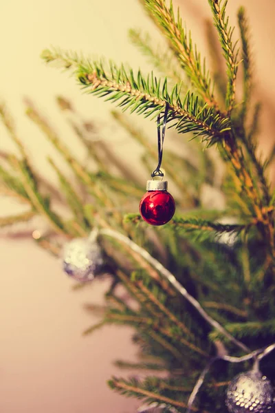 Pequeña bola de Navidad roja colgando de la rama de abeto — Foto de Stock