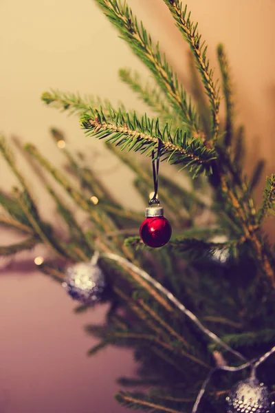 Malý červený vánoční ples visící na jedlové větvi — Stock fotografie