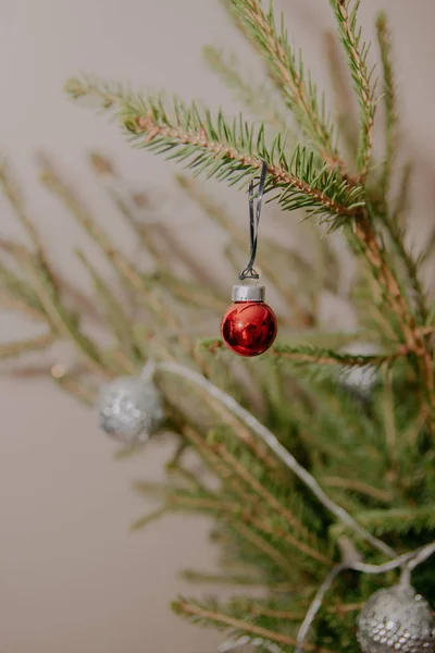 Kleine rode kerst bal opknoping op de FIR tak — Stockfoto