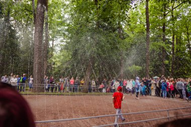 PETERHOF SAINT-PETERSBURG ��� RUSSIA - JUNE 13 2019: the Fountai