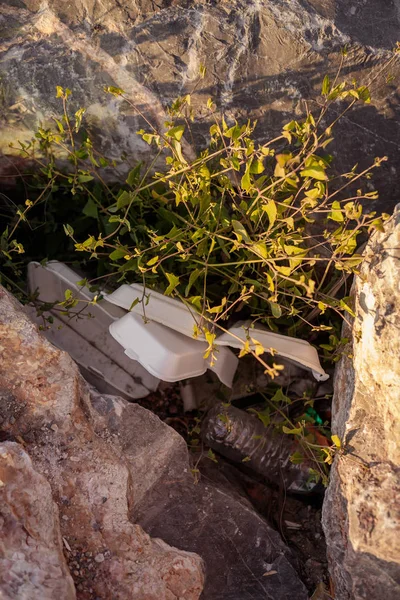 Contenedor de plástico en piedras junto a la planta en la costa del mar en Iz —  Fotos de Stock