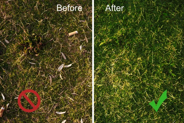 Önce ve kıç eşleşen tohum shuck ve sigara izmaritleri ile Çim