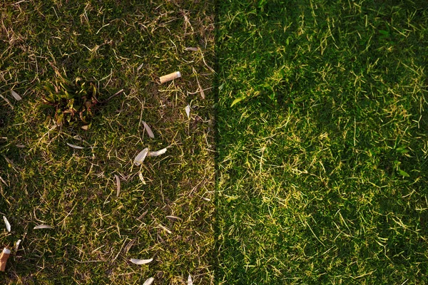 Önce ve kıç eşleşen tohum shuck ve sigara izmaritleri ile Çim