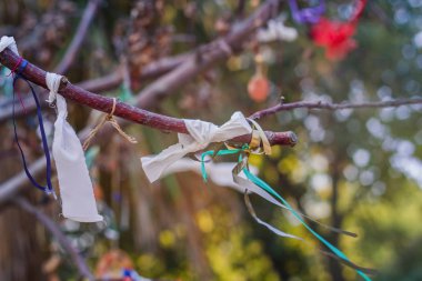 Kurdeleli dilek ağacı dalı