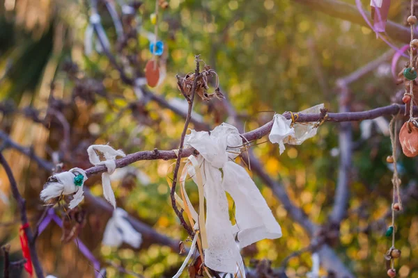 Kurdeleli dilek ağacı dalı