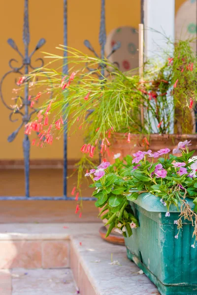 Blomkrukor stå utomhus nära i staket bredvid huset — Stockfoto