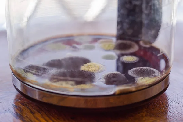 Mold in coffee pot — Stock Photo, Image