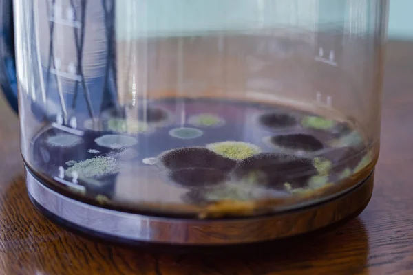 Mold in coffee pot — Stock Photo, Image