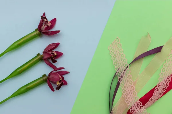 Orchidee, kolba florystyczna i wstążki satynowe na kolorowym tle — Zdjęcie stockowe