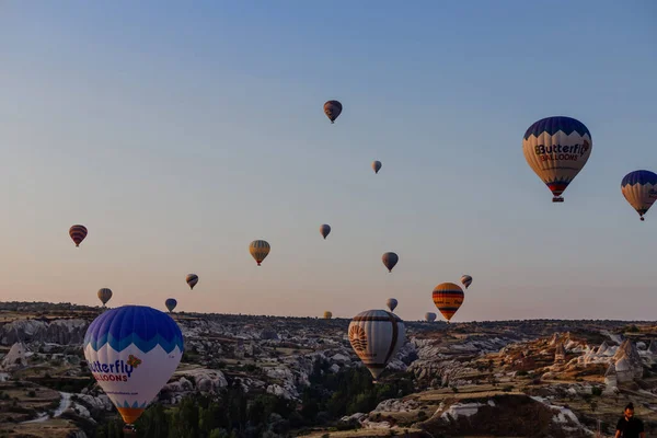 Goreme Cappadoce Turquie Août 2019 Beaucoup Montgolfières Dans Ciel Les — Photo