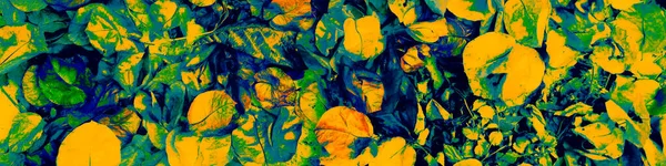 Black Leaf Texture. Dark Botanic Print. Blue Pastel Art Paper. Green Cool Canva. Forest Splash. Amazing Wallpaper. Garden Banner. Yellow Abstract Template.