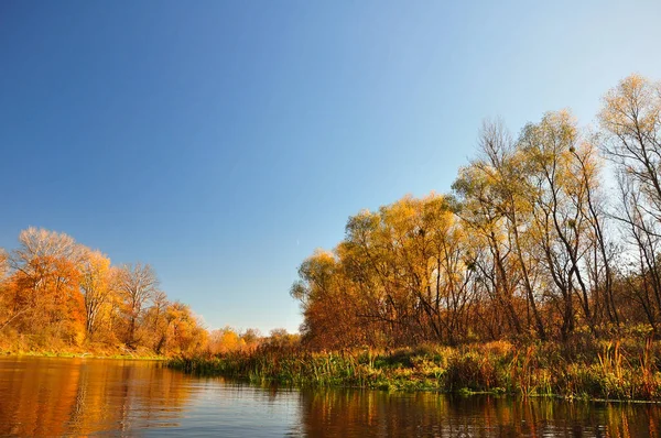 Vattenfall Bakgrund Orange Höstfall Gyllene Dimmiga Skogen Guld Oktober Bakgrund — Stockfoto