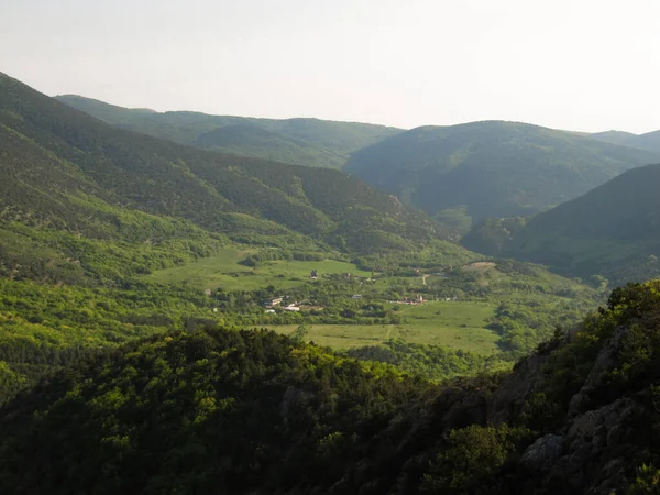 Sarı Sonbahar Ormanı. Kahverengi Gündoğumu Doğası. Altın Sonbahar Bahçesi. Mavi Organik Dekor. Tropik Şablon. Turuncu İnanılmaz Çevre. Sonbahar Bitkisi. Soyut Fotoğrafçılık.