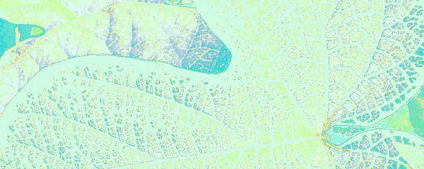 Яскравий Квітковий Шаблон Pastel Flower Image Льодовикова Жінка Зелена Розкішна — стокове фото