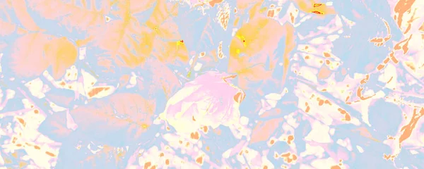 Orange Garden Banner Pastel Bouquet Canva Pink Female Pattern Blue — Stock Photo, Image