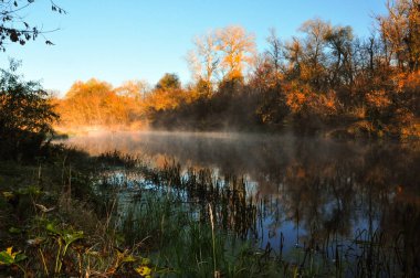 Güzel Şelale. Yeşil Sonbahar Ortamı. Mavi Görkemli Şelale. Turuncu Parlak Dağ manzarası. Altın Botanik dokusu. Sonbahar Panoraması. İnanılmaz bir manzara. Soyut Şablon.