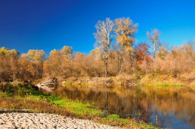 Misty Fall. Orange Autumn Fotoğrafı. Yeşil Gizemli Şelale. Altın Yaz sezonu. Altın Organik Dekor. Sonbahar Turizmi. Gizemli Orman. Soyut Fotoğrafçılık.