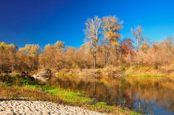 Misty Fall Orange Höst Foto Grönt Mystiskt Vattenfall Gyllene Sommarsäsongen — Stockfoto