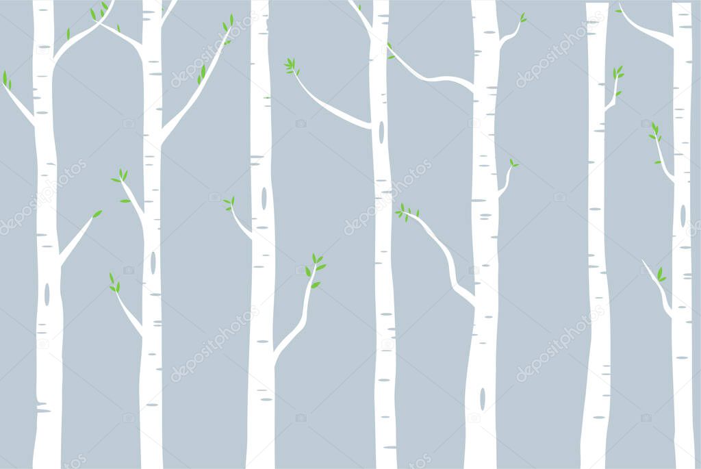 woods of birch trees with green leaves illustration