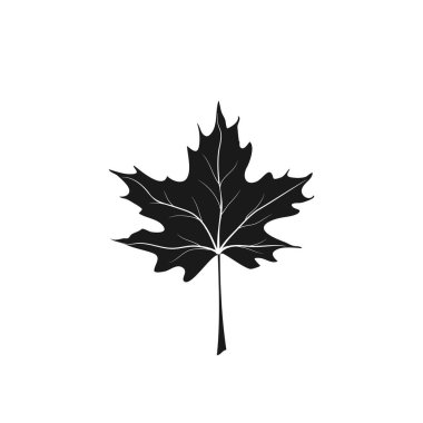 Siyah akçaağaç yaprağı vektör çizimi