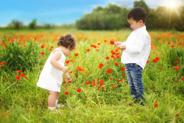 Kazakh Kleine Jongen Meisje Samen Spelen Zomer Park — Stockfoto