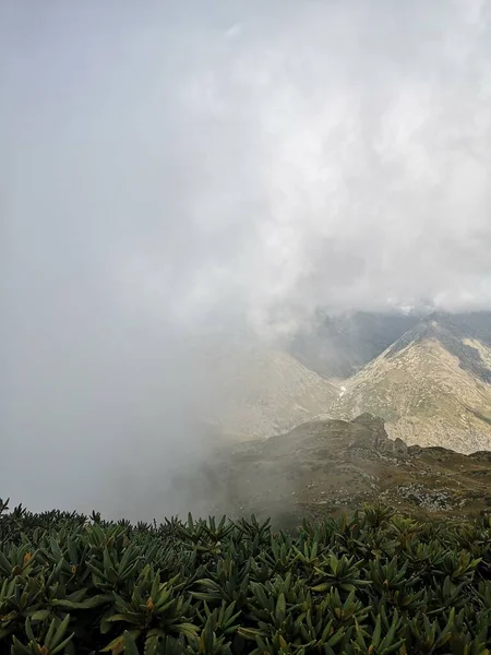 Resmedilmeye Değer Dağ Sıraları Dağın Zirvesine Doğru Uzanır — Stok fotoğraf