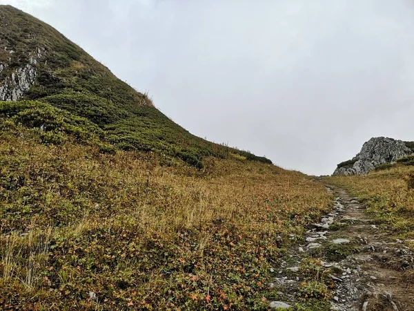 Wandern Auf Malerischen Bergpfaden — Stockfoto