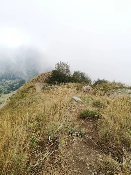 Wandern Auf Malerischen Bergpfaden — Stockfoto