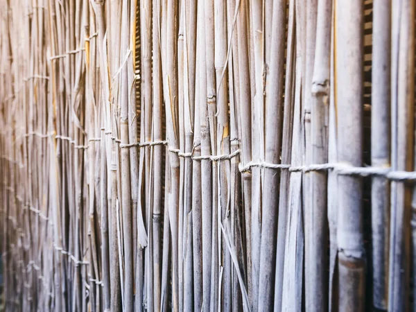 Bamboo mat wall pattern Japan Background Natural texture close up