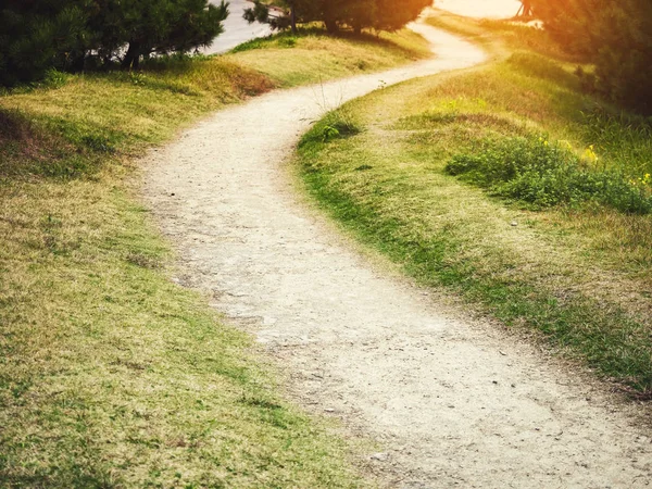 Walkway Park Livre Trilha Perspectiva Pista Corrida Com Luz Solar — Fotografia de Stock