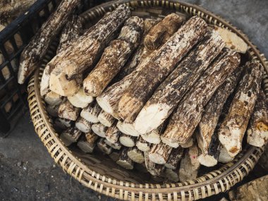 Tanaka ot Myanmar bitki yerel doğal ürün kozmetik