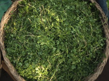 Kişniş sepet Top görünümünde pazar sebze taze yiyecek