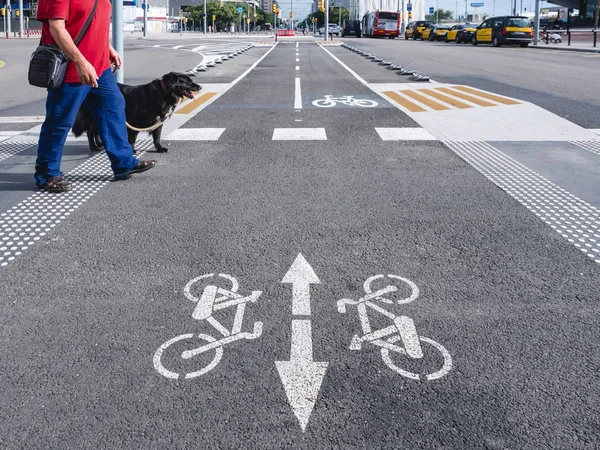 남자 개 장애 보행자 지상 자전거 차선 횡단 거리 — 스톡 사진