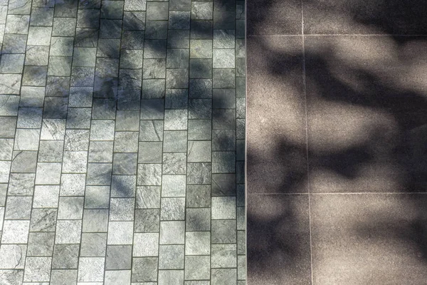 Yer karoları doku Ağaç dalları siluet Dış mekan — Stok fotoğraf