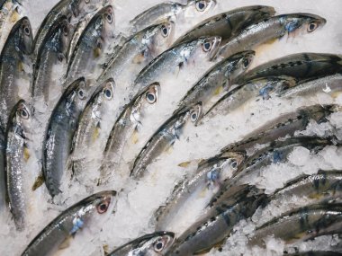 Taze deniz ürünleri pazarında uskumru balığı sergileniyor. 