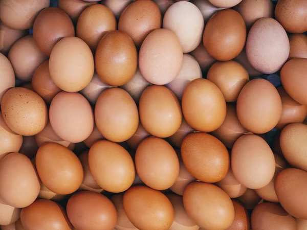 Huevos Producto Fresco Granja Alimentación Saludable — Foto de Stock
