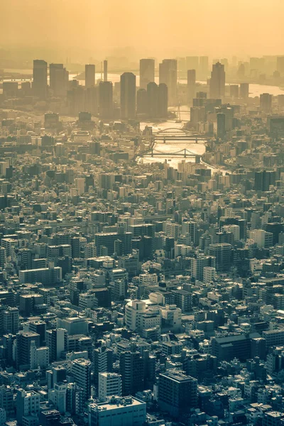 Tokió Városképe Városkép Kilátás Épület Üzleti Negyed Japán Város Tokyo — Stock Fotó