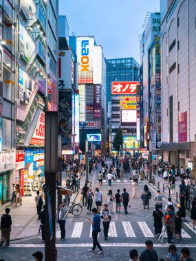 Akihabara elektrik kasabası Neon tabelası Tokyo şehir caddesi Japonya 'nın gezdiği kalabalık ile dolu: Tokyo, Japonya - 16 Haziran 2024 