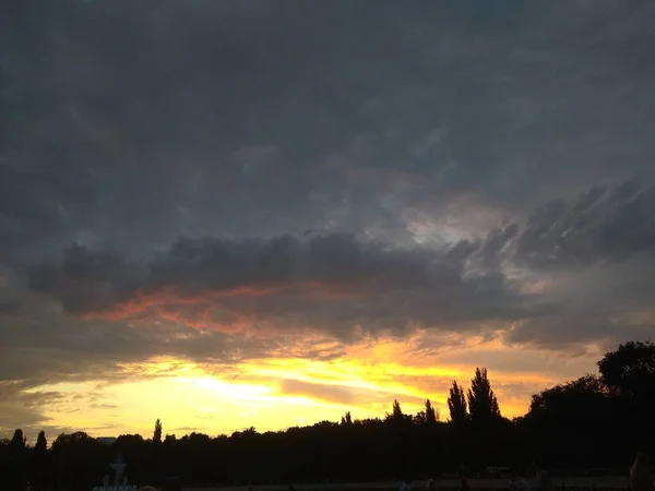 Das Foto Zeigt Einen Park Einer Sommernacht — Stockfoto