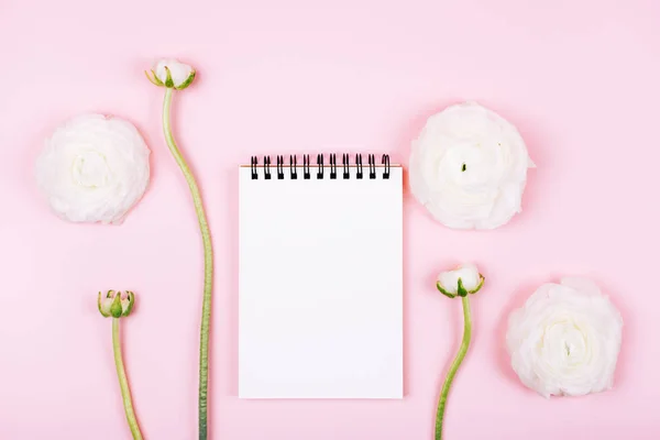 Notebook Czystą Strona Piękne Wiosenne Kwiaty Ranunculus Różowym Tle Pastel — Zdjęcie stockowe